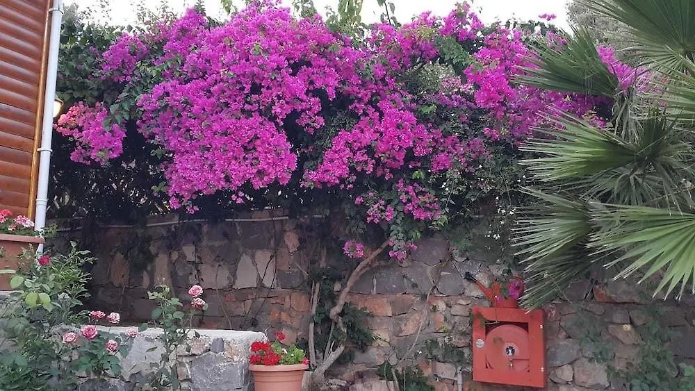 Kabak Armes Hotel Faralya