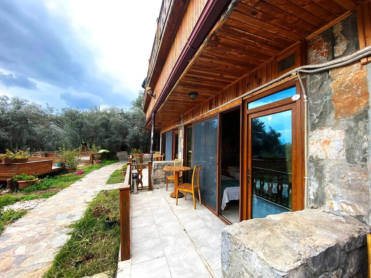 ***  Kabak Armes Hotel Faralya Turchia