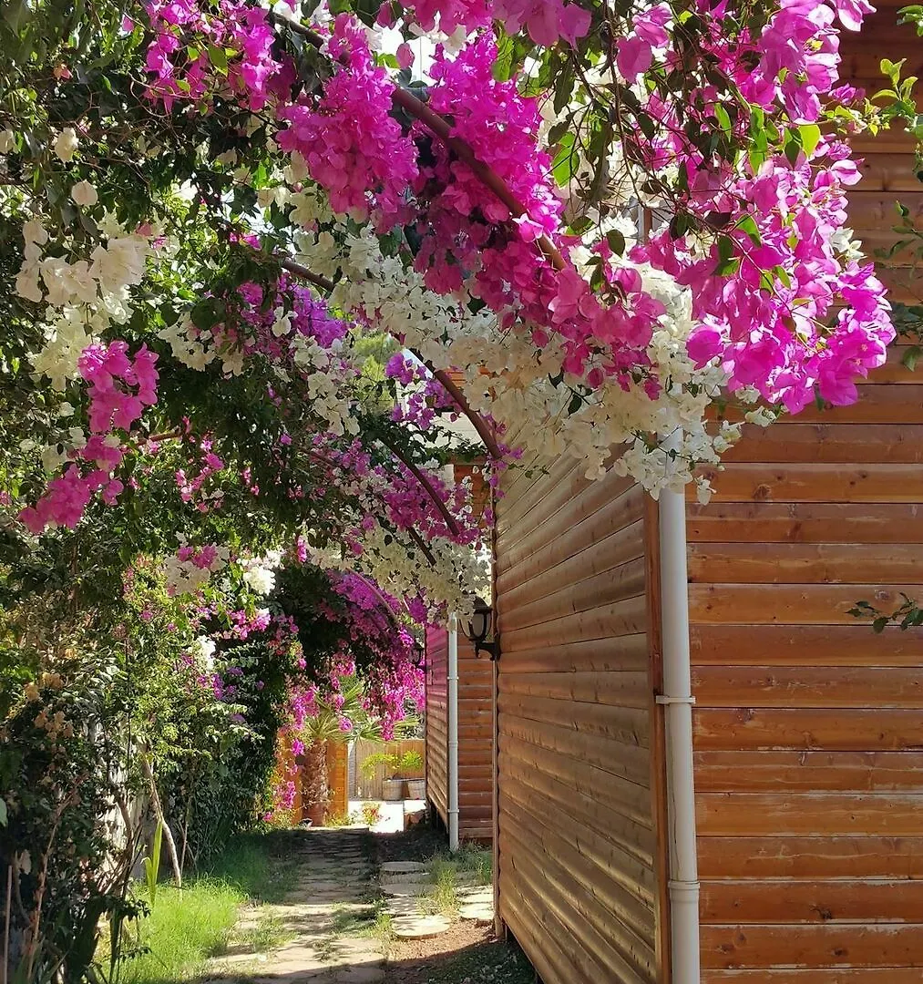 Kabak Armes Hotel Faralya